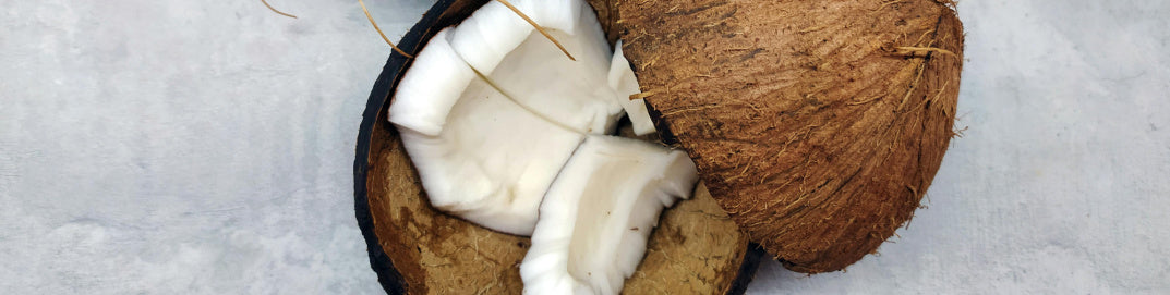 Choosing the Right Non-Toxic Moisturizer for Fall & Winter