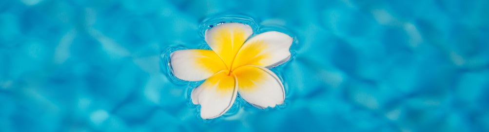 A plumeria flower gently floating on calm water, representing the principles of sustainable and mindful beauty with its serene, natural elegance