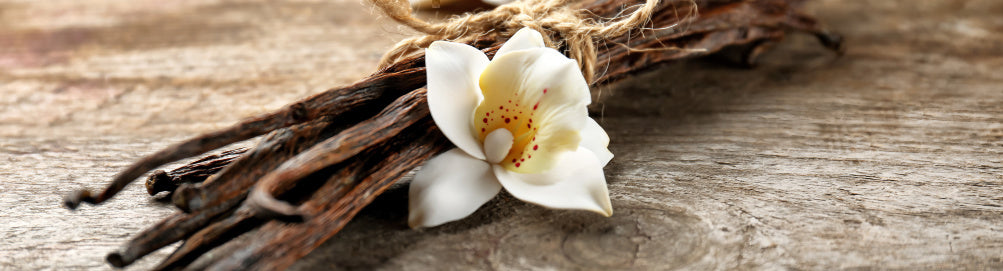 spring of dried vanilla with an orchid representing the benefits of vanilla perfume