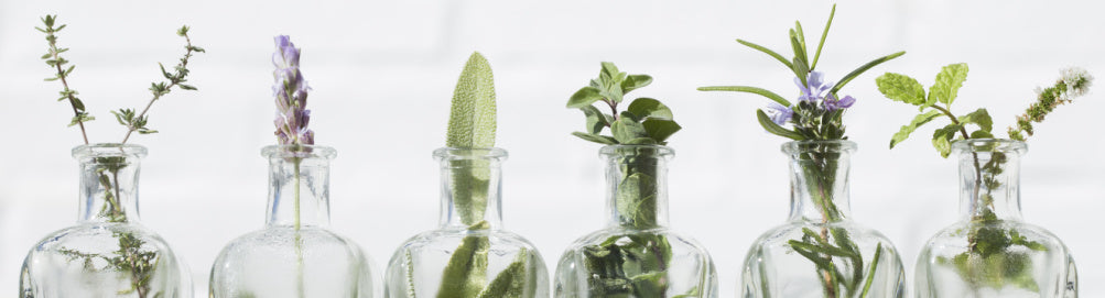 Various herbs in glass jars representing herbs for health and healing