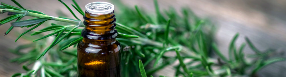 Sea Foam Rosemary Hair Oil bottle with jojoba and rosemary blend for scalp and hair health