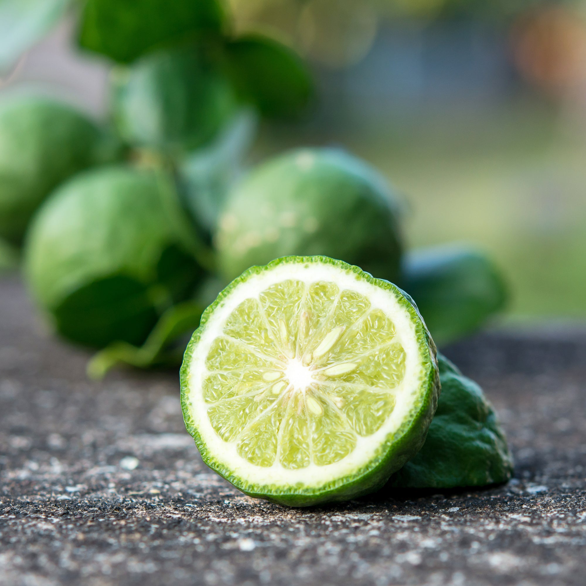 Closeup of bergamot, capturing its citrusy essence with vibrant peel textures and a burst of aromatic freshness.