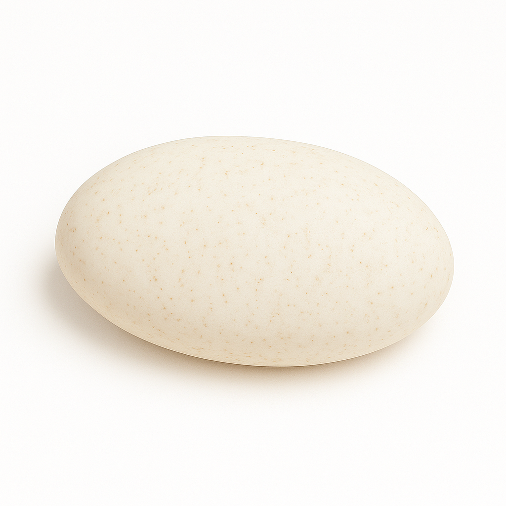 Oval perilla seed oil facial bar with oatmeal speckles, displayed on a clean white background