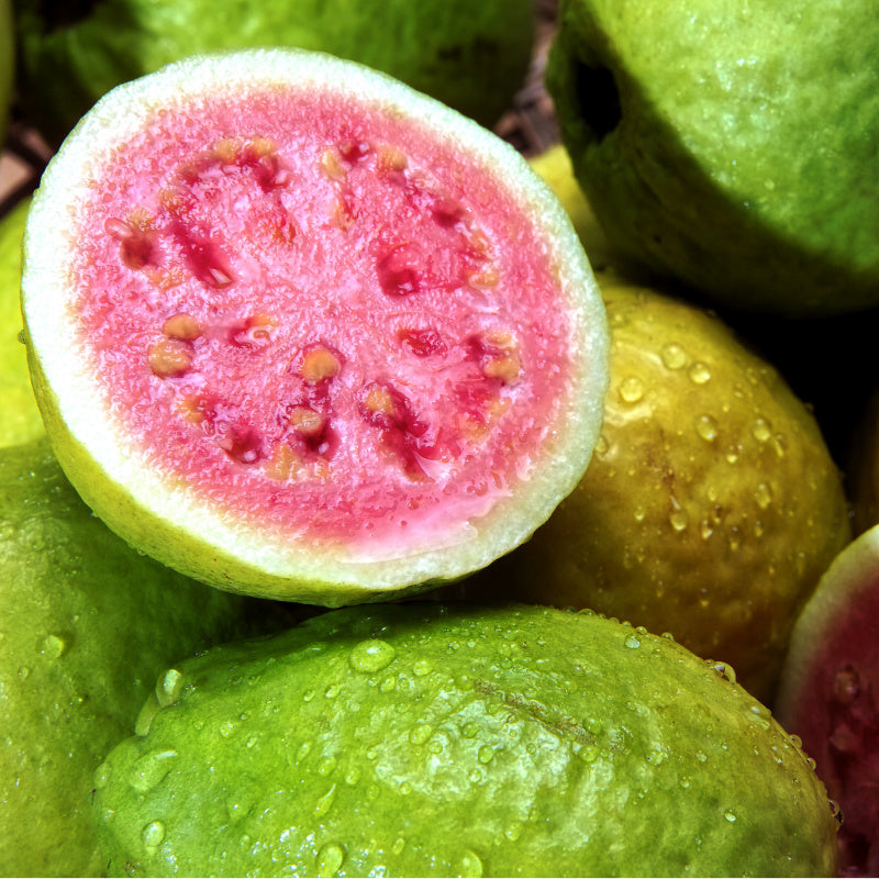 Slices of guava representing scent in Aulani Lagoon Hawaiian Sandalwood Perfume