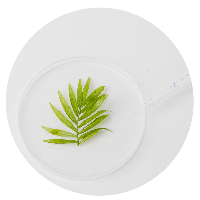 A green leaf floating in a gel-like substance