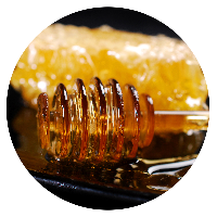 Natural honeycomb and honey spoon on black plate