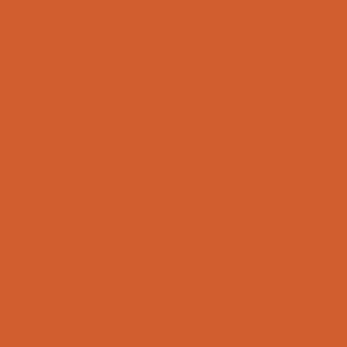 Swatch of vibrant, new look Burnt orange eye shadow
