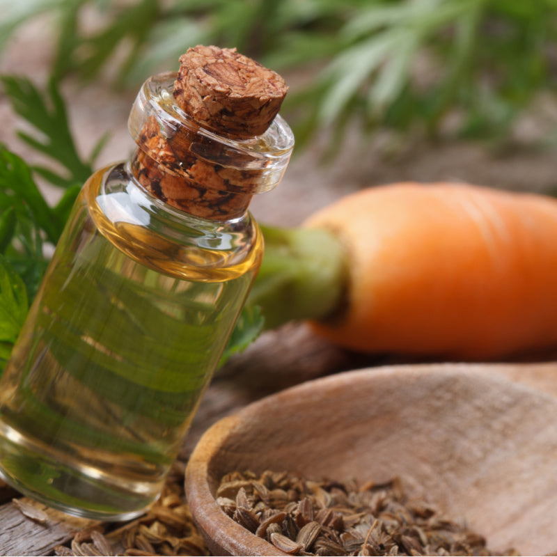 Glass vial of carrot seed oil representing product ingredient with carrot in background