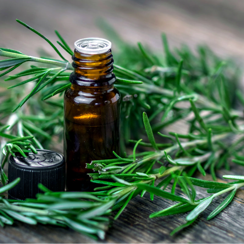 Glass bottle of rosemary oil surrounded by rosemary leaves representing product ingredient
