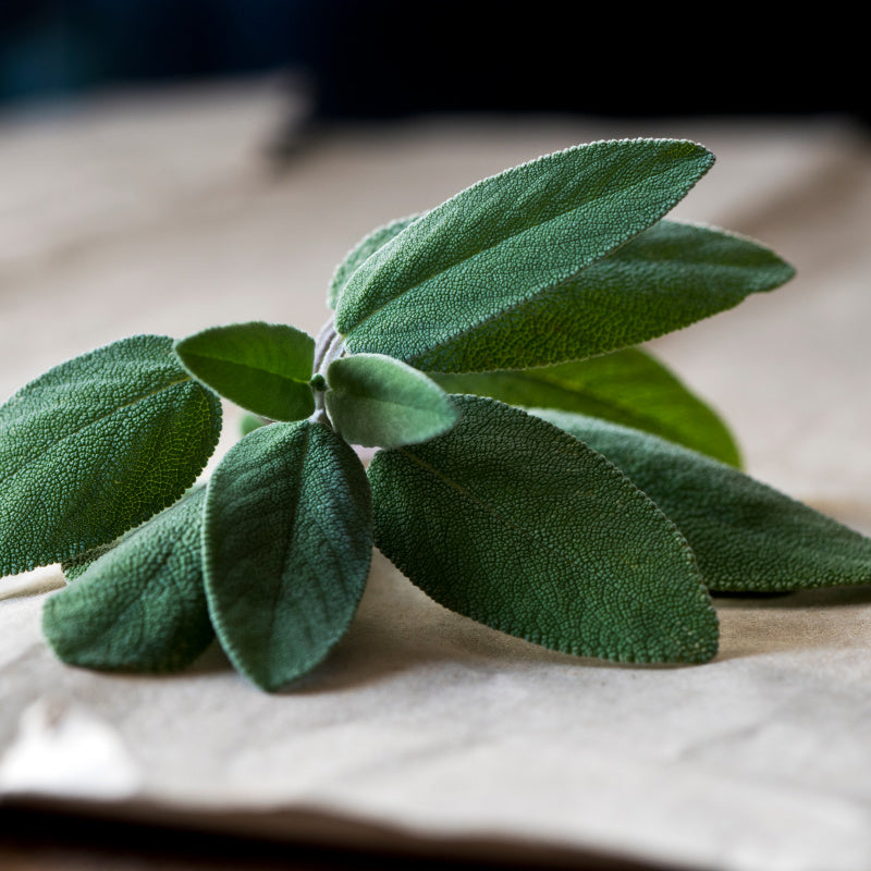 Sage leaves on wooden background as ingredient in Capricorn Zodiac Perfume